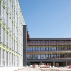 SEGREEN 6