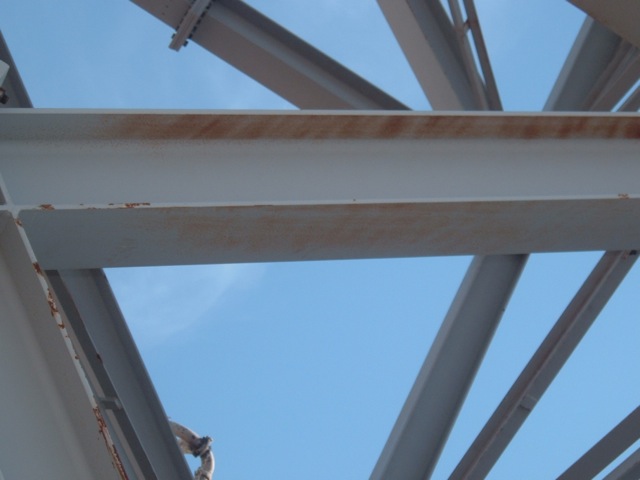 Loading Image