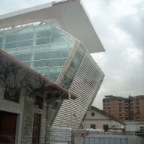DSCN2882